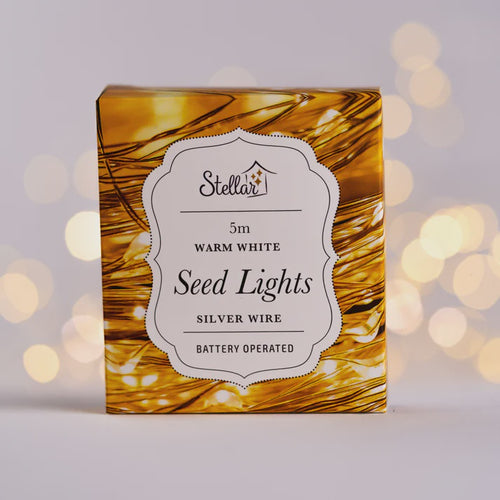 5m Silver Warm White Seed Lights