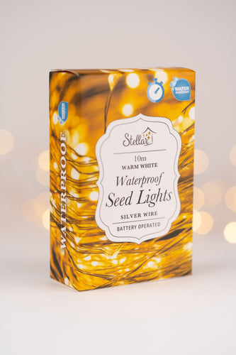 10m Silver Warm White Seed Lights
