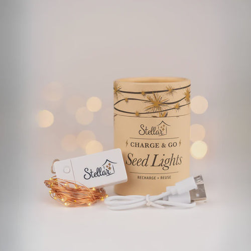 Rechargeable 3m  Copper Seed Lights