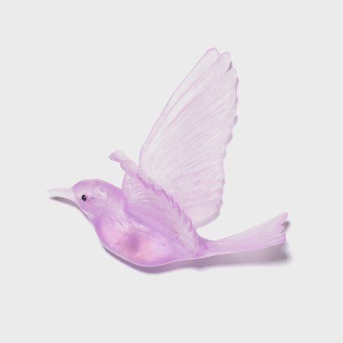 Fuchsia Stitchbird