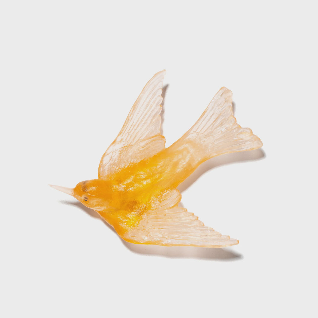 Swallow - Apricot