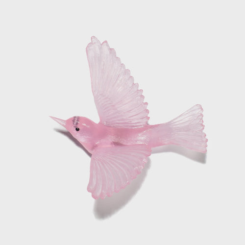 Pink Silvereye