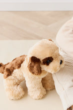 Snuggle Bunnies - Coco The Shih Tzu Sitting Height: 22cmLength: 21cm These adorable and super soft toys are perfect for your little ones to snuggle up with and love. Coco is a high-energy Shih Tzu dog who loves chasing butterflies, playing outdoors and generally creating chaos.