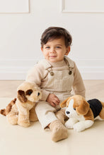 Snuggle Bunnies - Coco The Shih Tzu Sitting Height: 22cmLength: 21cm These adorable and super soft toys are perfect for your little ones to snuggle up with and love. Coco is a high-energy Shih Tzu dog who loves chasing butterflies, playing outdoors and generally creating chaos.