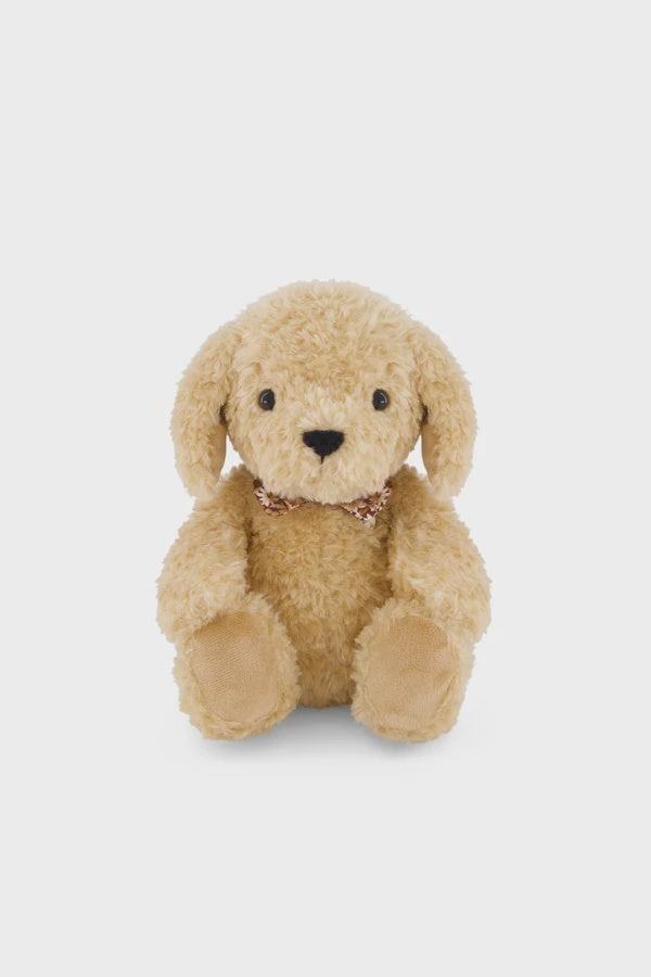 Honey the Puppy