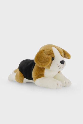 Snuggle Bunnies - Brooklyn The Beagle Body Length: 28cmHeight: 14cm These adorable and super soft toys are perfect for your little ones to snuggle up with and love. Brooklyn is a lovable beagle who loves skateboarding, telling jokes, and above all he enjoys going on adventures with his owner!