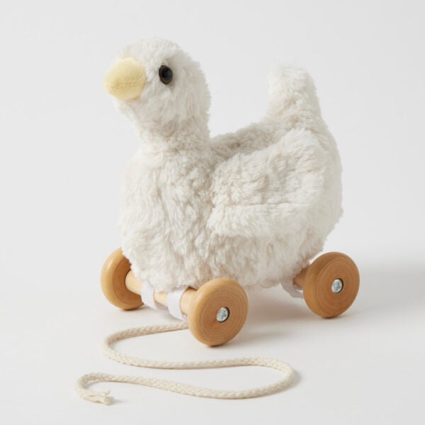 Duck Pull Toy