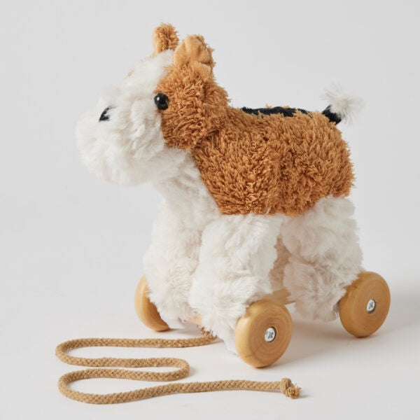Dog Pull Toy