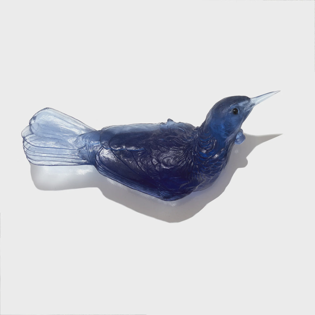 Tui - Steel Blue