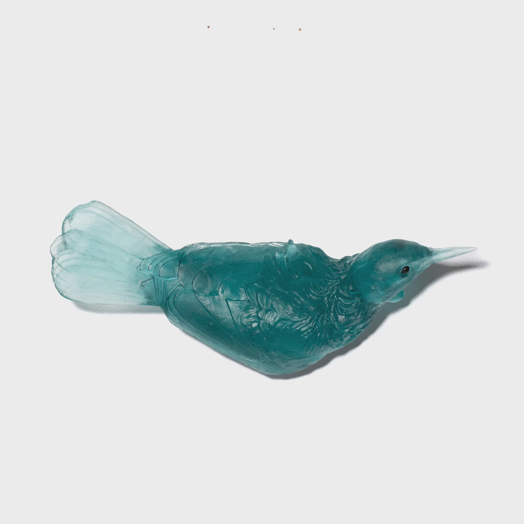 Tui - Teal