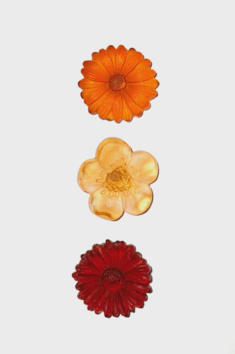 3 Flowers - Orange Autumn