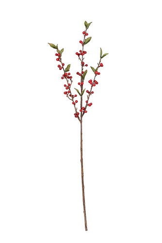 Cranberry Spray