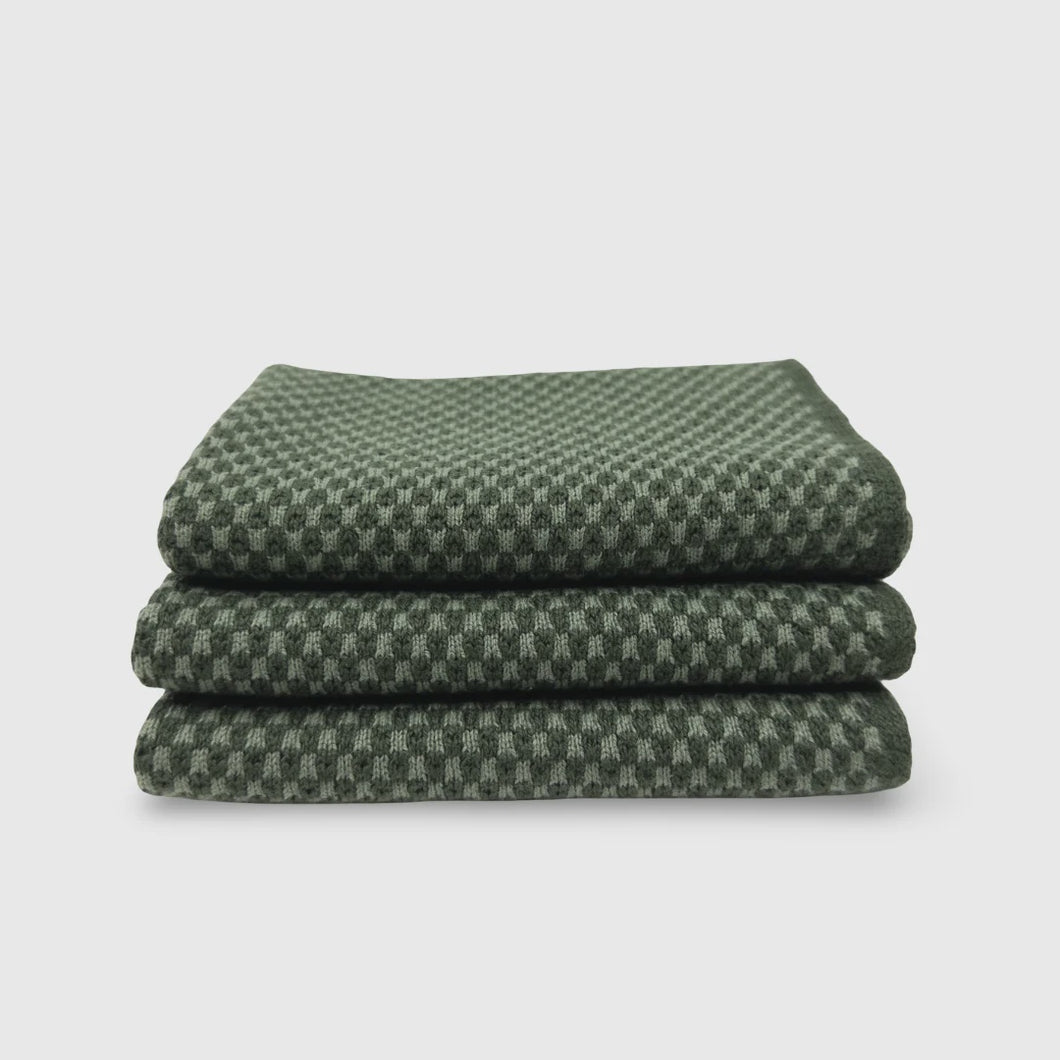 Elements Dishcloth 3pk - Fern
