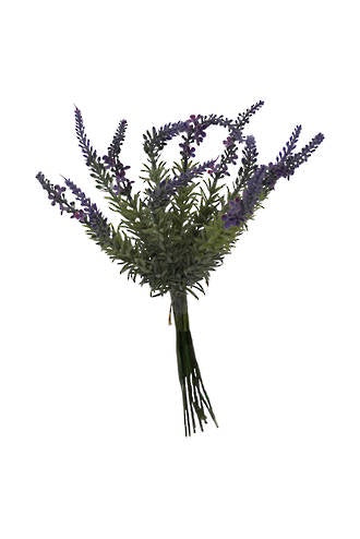 Lavender Bundle