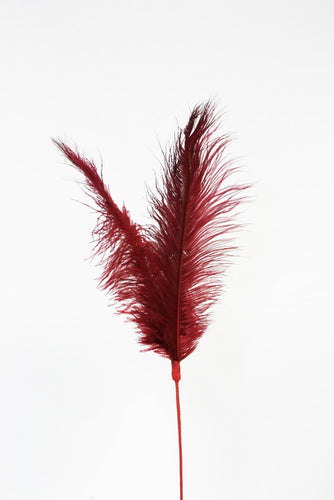 Raspberry Feather Spray