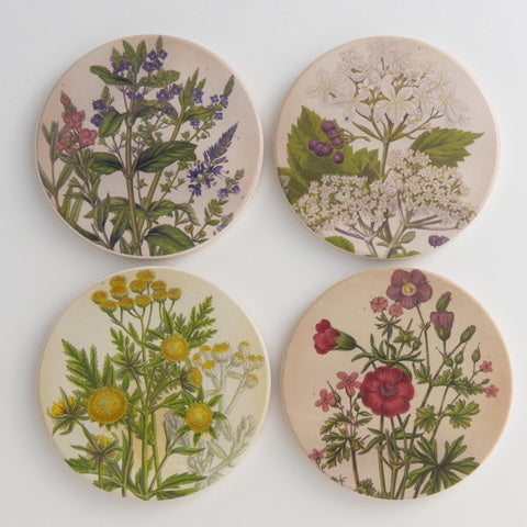 Medicinal Plants Coasters