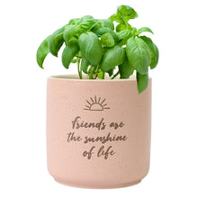 "Sunshine" Positive Pot by Splosh. They are back and better than ever! Inspired by the growing demand for plant-related products. Rosies Gifts, Mosgiel, Dunedin for flower vases, plant pots and artificial flowers.