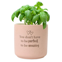 "Amazing" Positive Pot by Splosh. They are back and better than ever! Inspired by the growing demand for plant-related products. Rosies Gifts, Mosgiel, Dunedin for flower vases, plant pots and artificial flowers.